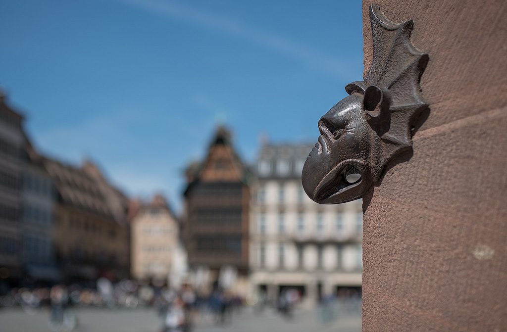 Rhein-04---2017-Rhein-04---201717X_5690-1-Kopie.jpg - Am Markplatz