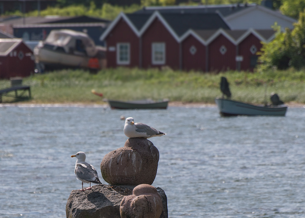 Dänemark-06---2017-+-17X_6617-1-Kopie.jpg - In Borberg Mölle - schöner Blick vom Stellplatz aus