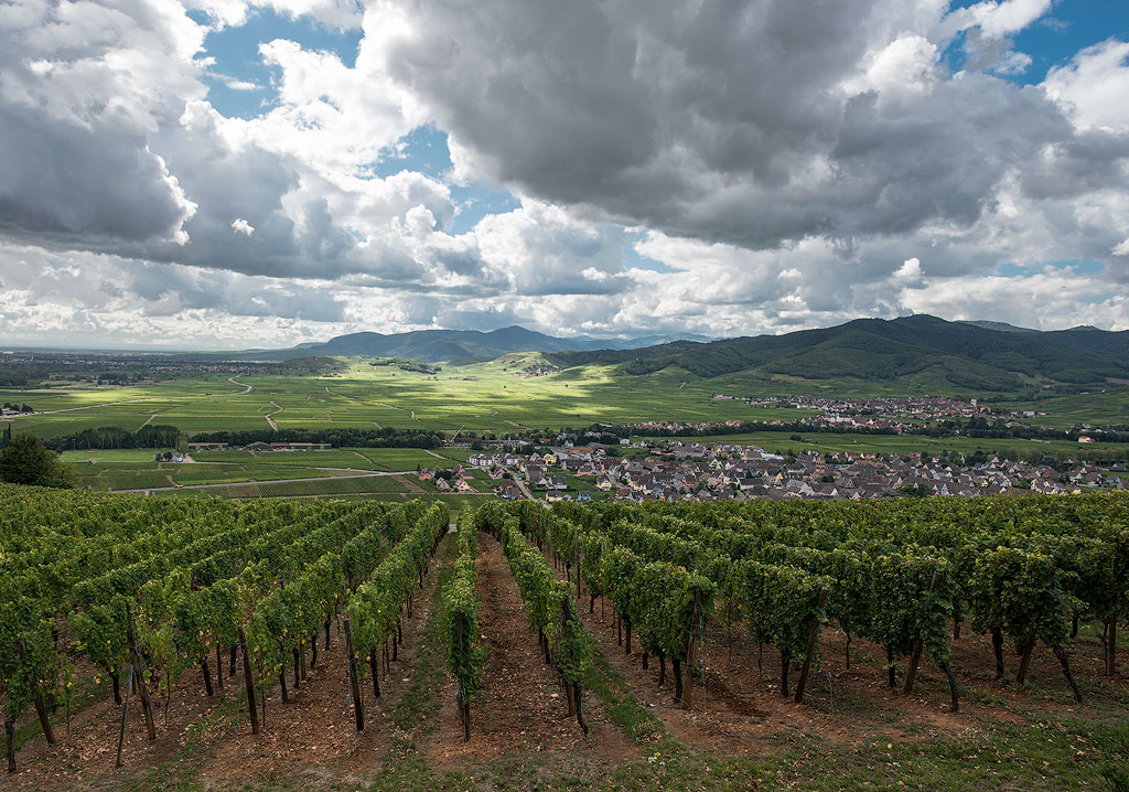 Elsass-09-(97)-1-Kopie.jpg - und immer wieder dieser tolle Ausblick ins  Land