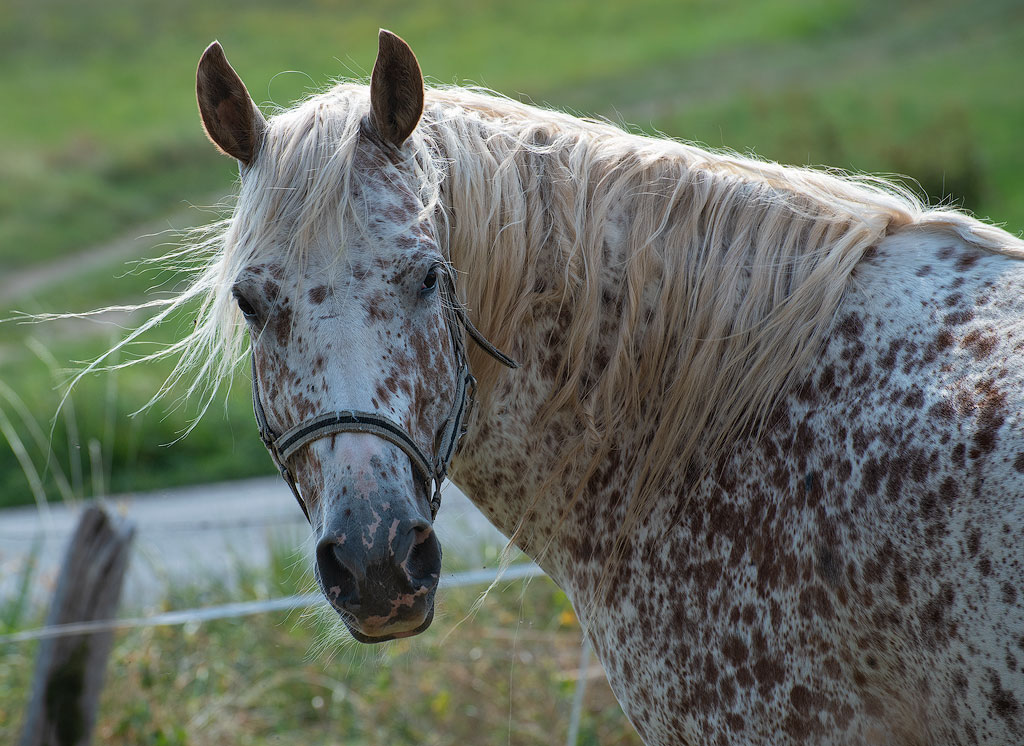 Eifel-Mosel-09---201818X_8375-1-Kopie.jpg - Beim Spaziergang im Lampertstal entdeckt