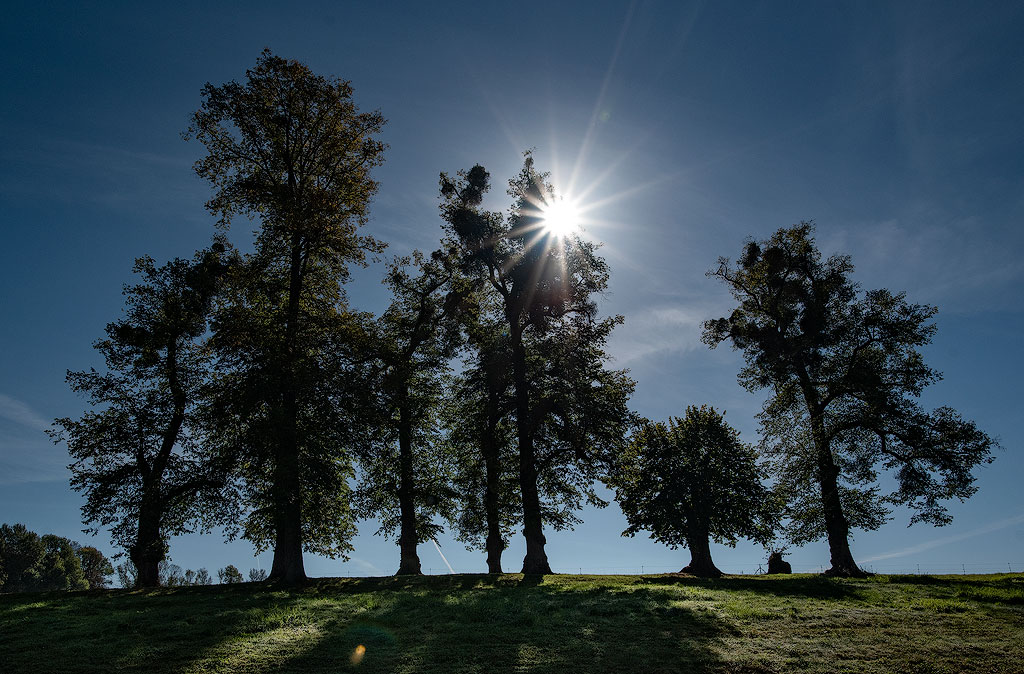 Tour-Belgien-10---201818X_9159-1-Kopie.jpg - Es war der richtige Tag für den Bummel im Park