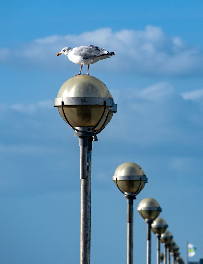 DSC_4408-Tour-Ostsee-08.jpg - An einem Osrseesteg