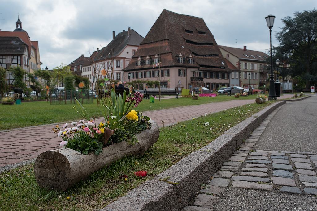 Rhein-04---2017-Rhein-04---201717X_5756-1-Kopie.jpg - Wir lieben Stadtbesichtigungen , auch hier in Wissemburg gibt es viel zu entdecken 