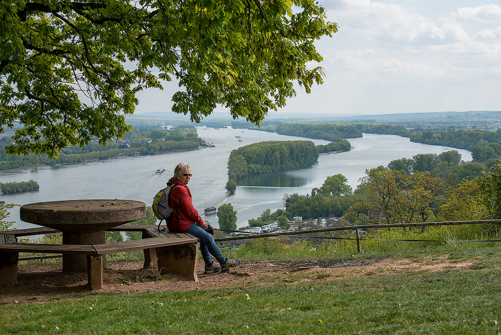 Rhein-04---2017-Rhein-04---201717X_6023-1-Kopie.jpg - Hoch über dem Rhein