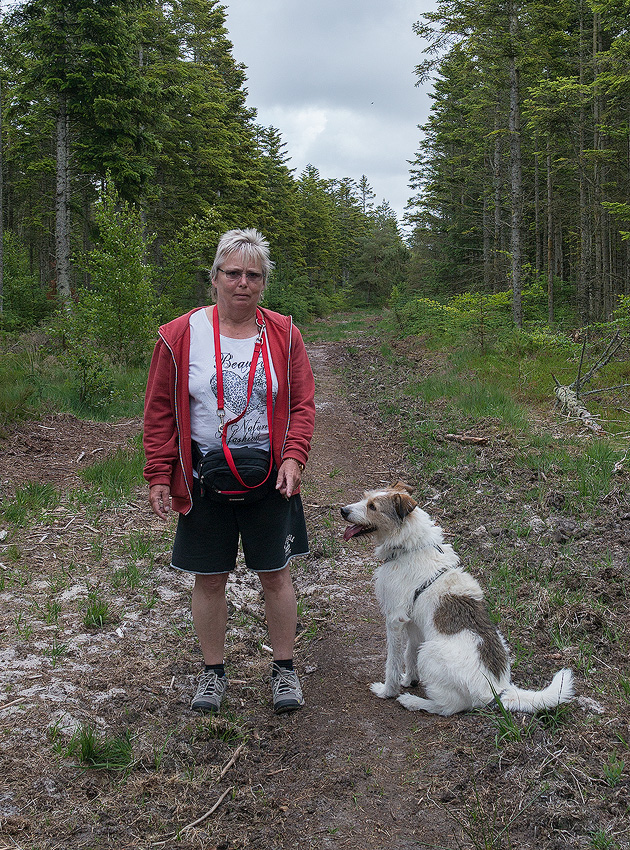 Dänemark-06---2017-+-07020009-1-Kopie.jpg - In Hanstholm im Hundewald - der ist übrigends ringsum eingezäunt wie alle Hundewälder in Dänemark