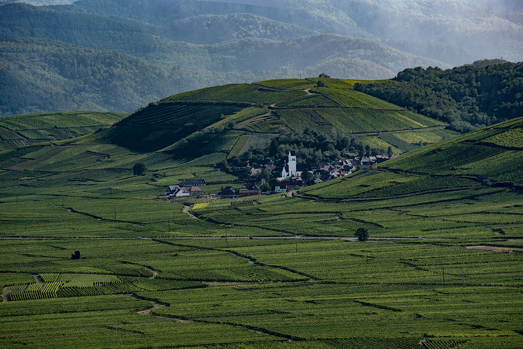 Elsass-09-(123)-1-Kopie.jpg - mit tollem Rundblick