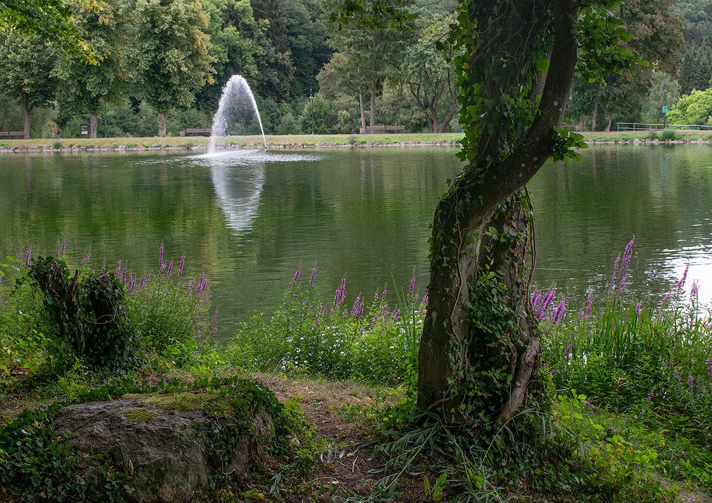 Eifel-Mosel-09---2018DSC_2406-1-Kopie.jpg - Übernachtung am schönen  Freilingersee