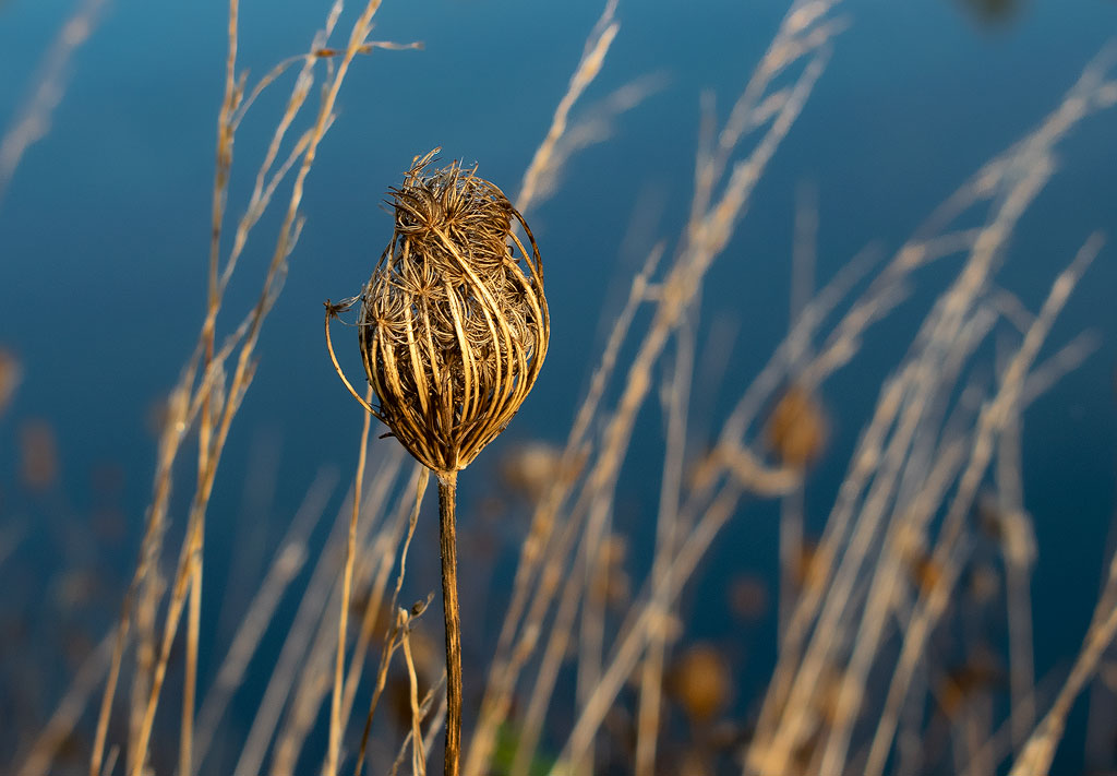 Tour-Belgien-10---2018DSC_3069-1-Kopie.jpg - Beim Morgenspaziergang am See